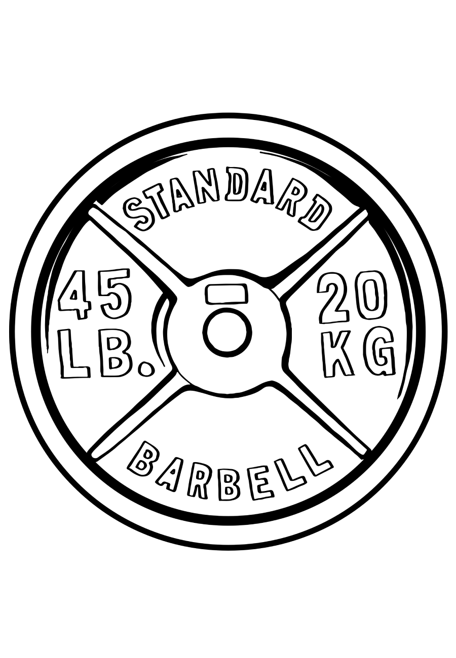 45lb Weight Plate