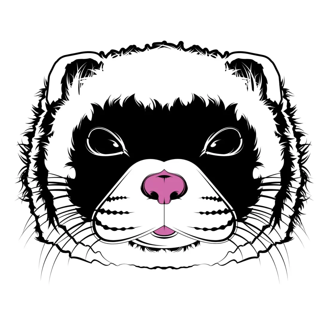 Ferret Face Vector Illustration Product Image