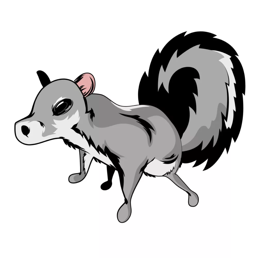 Squirrel SVG Vector Illustration Product Image