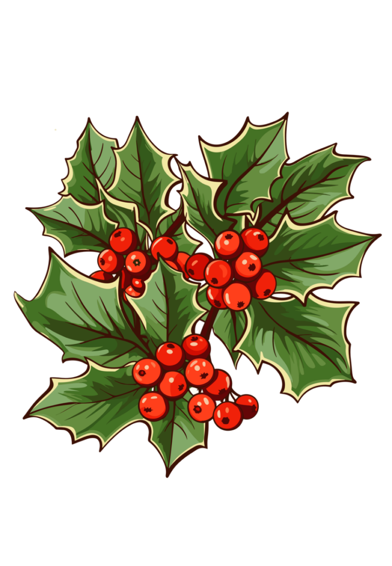 Holly leaves illustration product image
