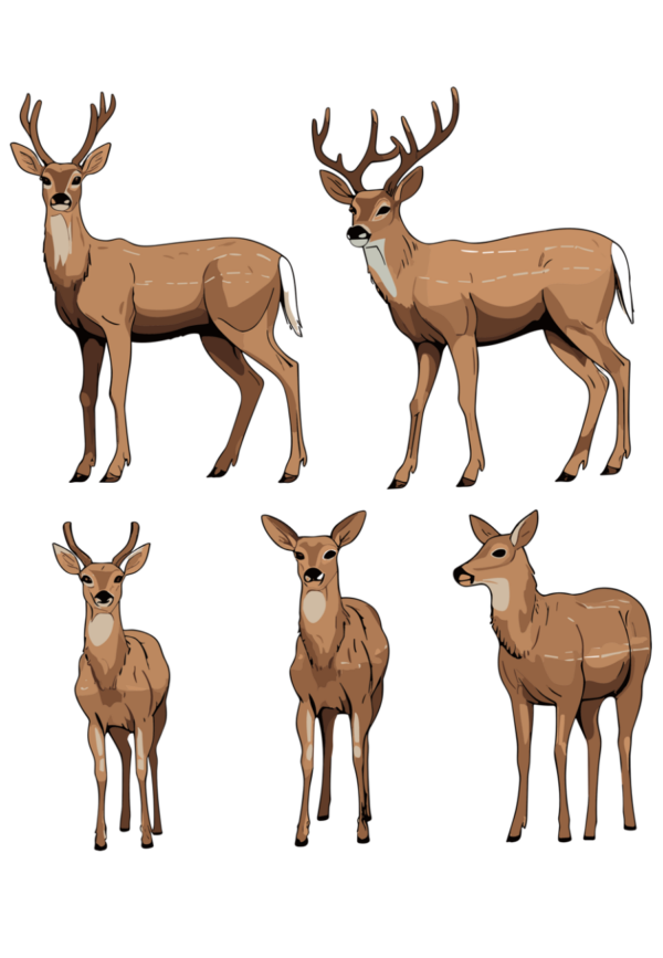 Deer Digital Download Collection