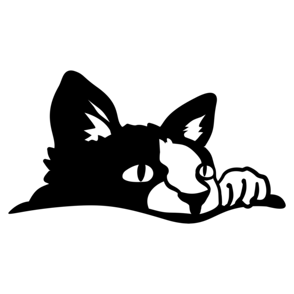 Black and White Cat Clipart Illustration