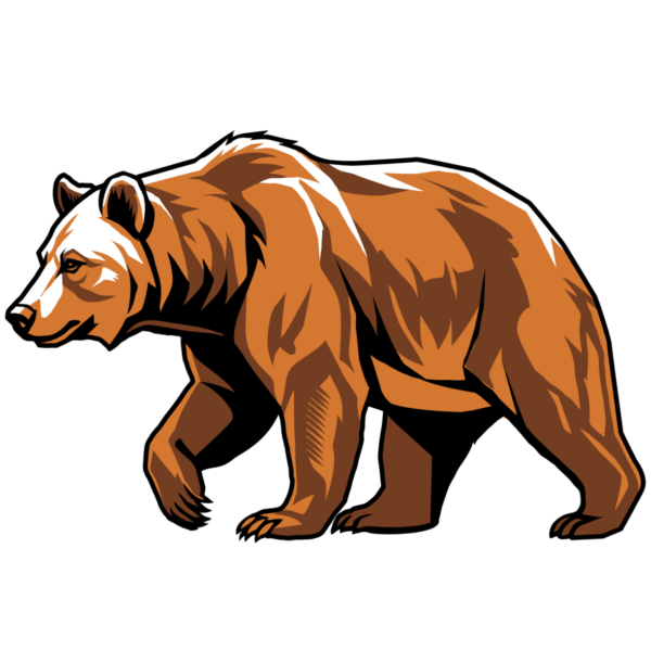 Grizzly bear